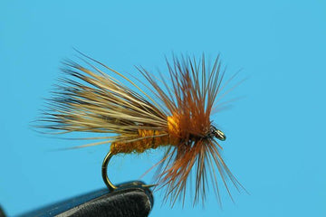 Autumn Caddis - Hazy Fly Fishing