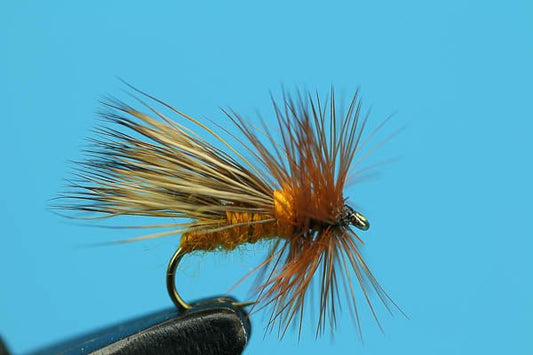 Autumn Caddis - Hazy Fly Fishing