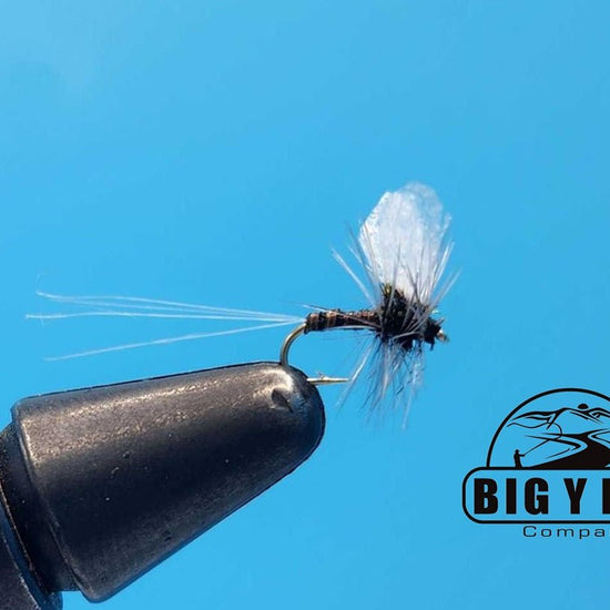 Baetis Zinger - Hazy Fly Fishing