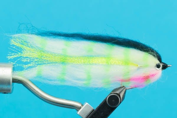 Baitfish Bass - Hazy Fly Fishing