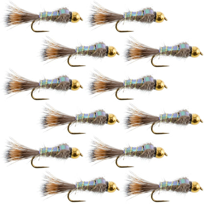 Barbless Bead Head Flash Back Gold Ribbed Hare's Ear Nymph 1 Dozen Flies Hook Size 10 - Hazy Fly Fishing