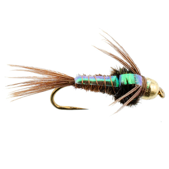 Barbless Bead Head Flashback Pheasant Tail Nymph Fly 6 Flies Hook Size 12 - Hazy Fly Fishing