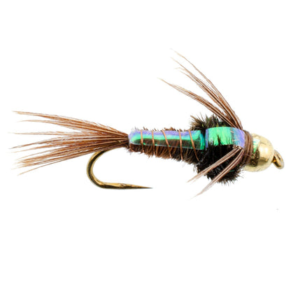 Barbless Bead Head Flashback Pheasant Tail Nymph Fly 6 Flies Hook Size 12 - Hazy Fly Fishing