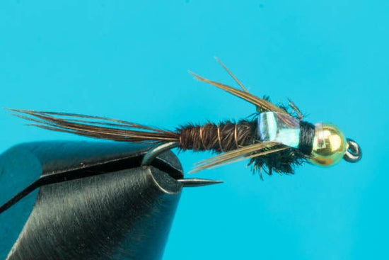 Barbless Beadhead Flashback Pheasant Tail - Hazy Fly Fishing
