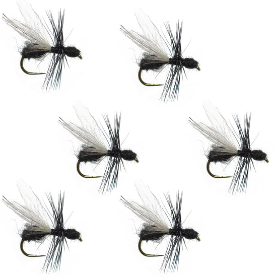Barbless Black Fur Flying Ant Terrestrial Trout Dry Fly Fishing Flies - 6 Flies Hook Size 14 - Hazy Fly Fishing