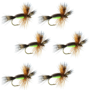 Barbless Chartreuse Humpy Classic Hair Wing Dry Fly - 6 Flies Hook Size 16 - Hazy Fly Fishing
