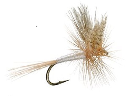Barbless Light Cahill Classic Trout Dry Fly Fishing Flies - Set of 6 Flies Size 16 - Hazy Fly Fishing