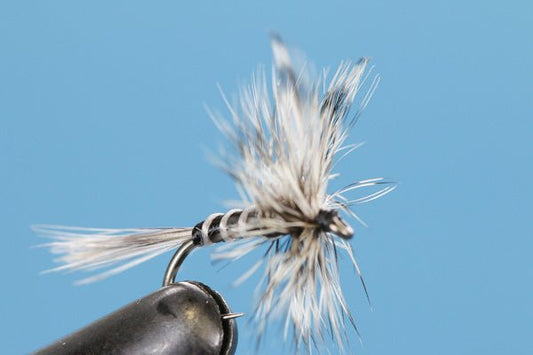 Barbless Mosquito - Hazy Fly Fishing