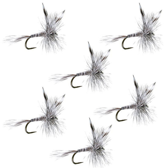 Barbless Mosquito Classic Trout Dry Fly Fishing 6 Flies - Hook Size 14 - Hazy Fly Fishing