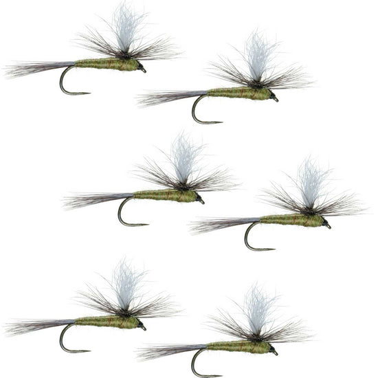 Barbless Parachute Blue Winged Olive BWO Classic Trout Dry Fly Fishing Flies - Set of 6 Flies Size 18 - Hazy Fly Fishing