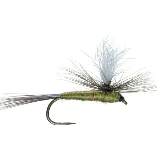 Barbless Parachute Blue Winged Olive BWO Classic Trout Dry Fly Fishing Flies - Set of 6 Flies Size 18 - Hazy Fly Fishing