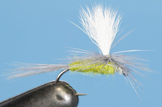 Barbless Parachute PMD - Hazy Fly Fishing