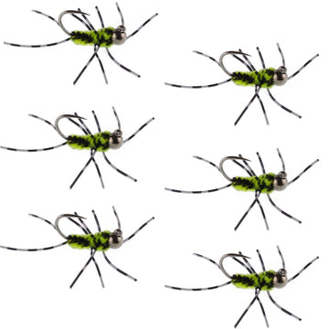 Barbless Pat's Barred Rubber Legs Tungsten Bead Jigged Black/Chartreuse Euro Nymph - Set of 6 Flies Hook Size 6 - Hazy Fly Fishing