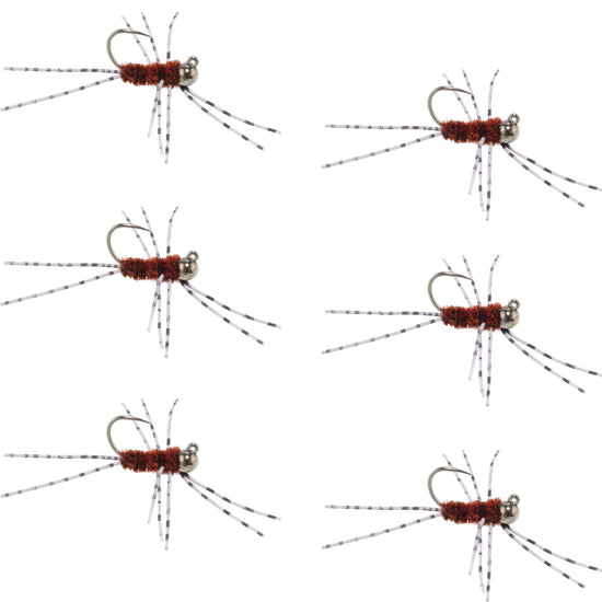 Barbless Pat's Barred Rubber Legs Tungsten Bead Jigged Brown Euro Nymph - Set of 6 Flies Hook Size 6 - Hazy Fly Fishing