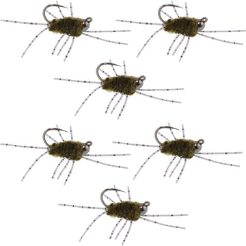 Barbless Pat's Barred Rubber Legs Tungsten Bead Jigged Dark Olive Euro Nymph - Set of 6 Flies Hook Size 6 - Hazy Fly Fishing