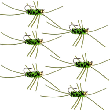 Barbless Pat's Rubber Legs Tungsten Bead Jigged Black/Chartreuse Euro Nymph - Set of 6 Flies Hook Size 10 - Hazy Fly Fishing