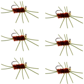 Barbless Pat's Rubber Legs Tungsten Bead Jigged Brown Euro Nymph - Set of 6 Flies Hook Size 10 - Hazy Fly Fishing