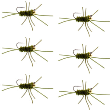 Barbless Pat's Rubber Legs Tungsten Bead Jigged Dark Olive Euro Nymph - Set of 6 Flies Hook Size 10 - Hazy Fly Fishing