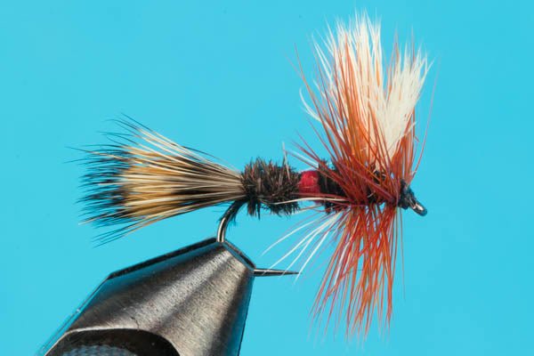 Barbless Royal Wulff - Hazy Fly Fishing