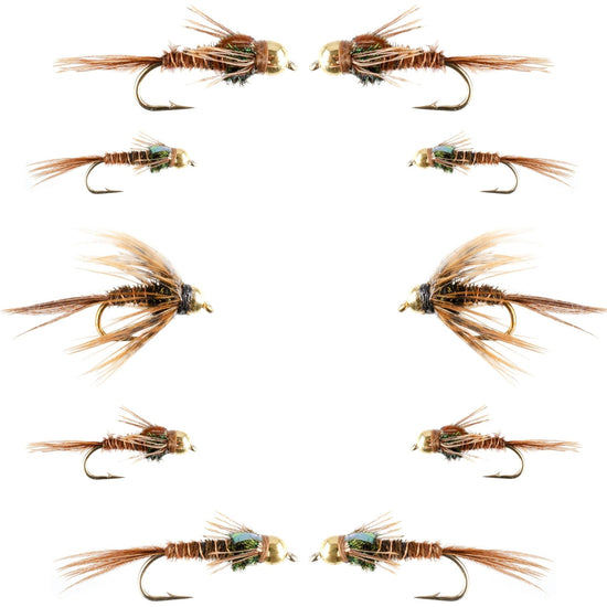 Basics Collection - Bead Head Pheasant Tail Nymph Assortment - 10 Wet Flies - Hook Sizes 14, 16, 18 - Hazy Fly Fishing