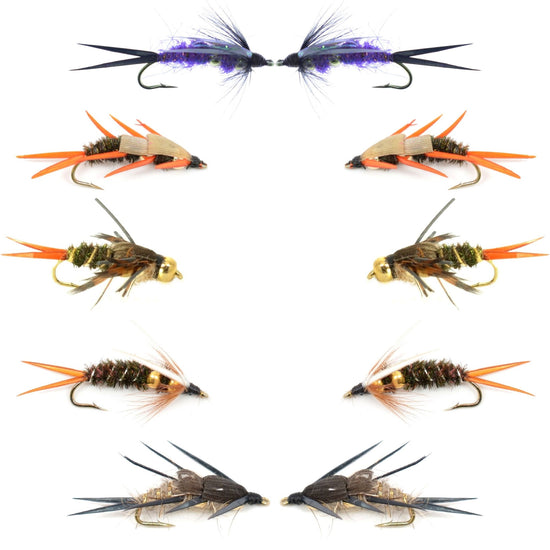Basics Collection - Double Bead Head Nymph Assortment - 10 Wet Flies - 5 Patterns - Hook Size 12 - Hazy Fly Fishing