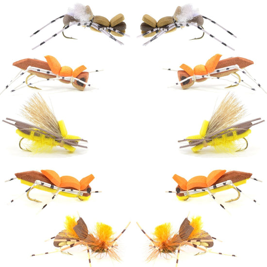 Basics Collection - Foam Hoppers Dry Fly Assortment - 10 Dry Fishing Grasshopper Flies - 5 Patterns - Hook Size 10 - Hazy Fly Fishing