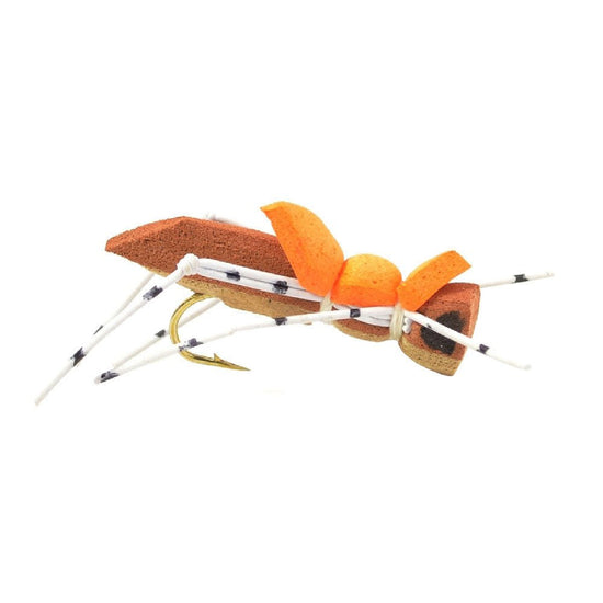 Basics Collection - Foam Hoppers Dry Fly Assortment - 10 Dry Fishing Grasshopper Flies - 5 Patterns - Hook Size 10 - Hazy Fly Fishing