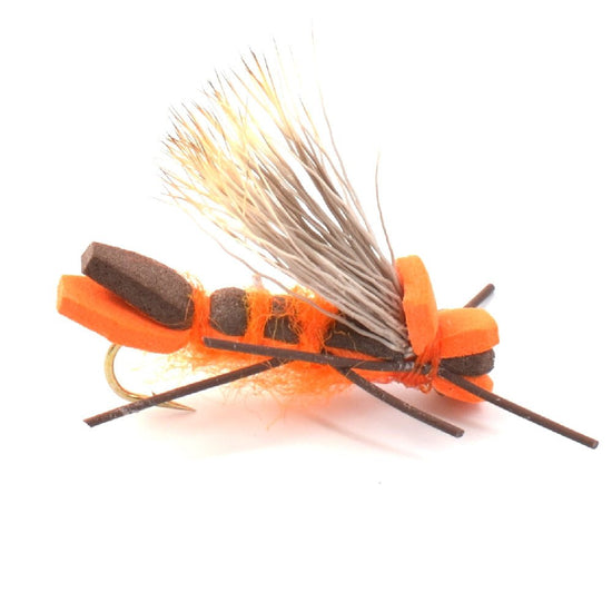 Basics Collection - Foam Hoppers Dry Fly Assortment 2 - 10 Dry Fishing Grasshopper Flies - 5 Patterns - Hook Size 10 - Hazy Fly Fishing