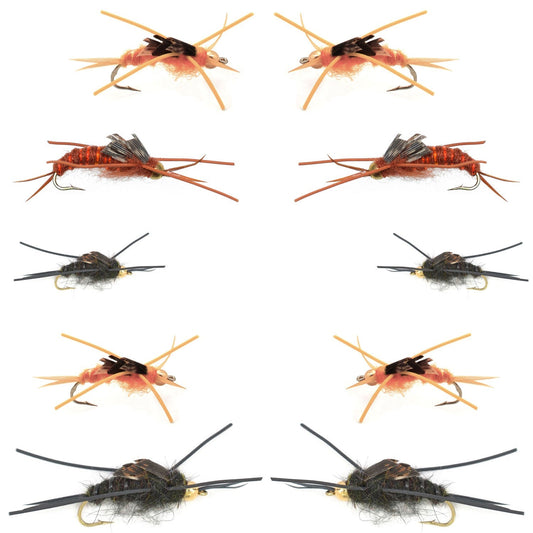 Basics Collection - Kaufmann's Tungsten Bead Stonefly Nymph Assortment - 10 Bead Head Rubber Legs Wet Flies - 5 Patterns - Hook Sizes 4, 6, 8, 10, and 12 - Hazy Fly Fishing
