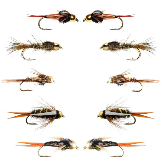 Basics Collection - Tungsten Bead Head Nymph Assortment - 10 Wet Flies - 5 Patterns - Hook Sizes 10, 12, 14, 16 - Hazy Fly Fishing