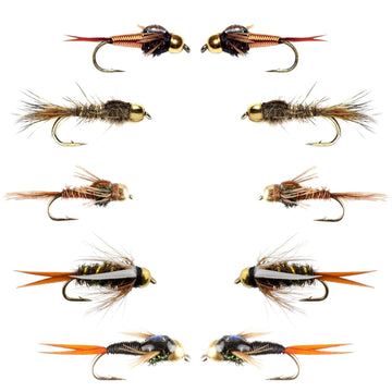 Basics Collection - Tungsten Bead Head Nymph Assortment - 10 Wet Flies - 5 Patterns - Hook Sizes 10, 12, 14, 16 - Hazy Fly Fishing