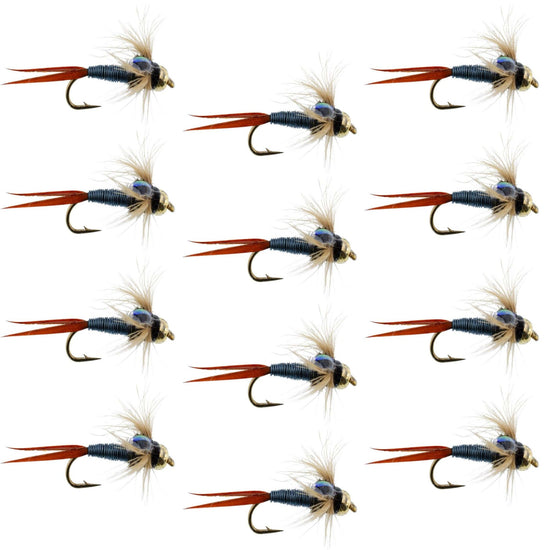 Bead Head Metallic Blue Copper John Nymph - 1 Dozen Fly Fishing Flies - Hook Size 12 - Hazy Fly Fishing