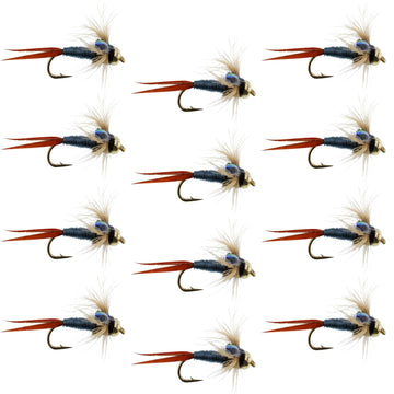 Bead Head Metallic Blue Copper John Nymph - 1 Dozen Fly Fishing Flies - Hook Size 12 - Hazy Fly Fishing