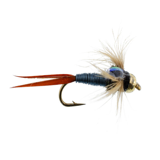 Bead Head Metallic Blue Copper John Nymph - 1 Dozen Fly Fishing Flies - Hook Size 12 - Hazy Fly Fishing