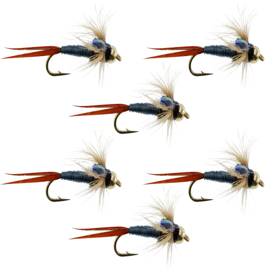 Bead Head Metallic Blue Copper John Nymph - 6 Fly Fishing Flies - Hook Size 12 - Hazy Fly Fishing