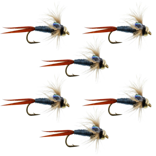 Bead Head Metallic Blue Copper John Nymph - 6 Fly Fishing Flies - Hook Size 12 - Hazy Fly Fishing