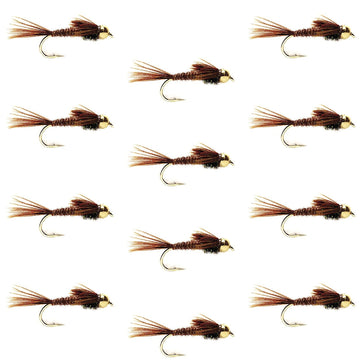Bead Head Pheasant Tail Nymph 1 Dozen Fly Fishing Flies Size 14 - Hazy Fly Fishing