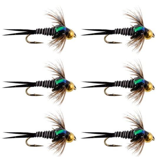 Bead Head Zebra Copper John Nymph Fly Fishing Flies - Set of 6 Flies Hook Size 14 - Hazy Fly Fishing