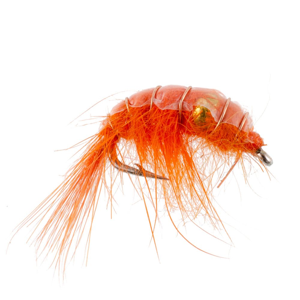 Beaded Shrimp Scud Assortment - 9 Flies - 3 Each of 3 Patterns Size 12 - Tailwater Lake Fly Fishing Flies Collection - Hazy Fly Fishing
