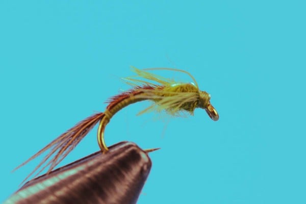Bear Baetis Nymph - Hazy Fly Fishing