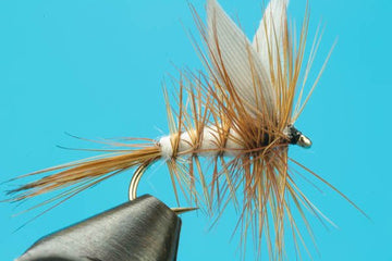 Beaverkill - Hazy Fly Fishing