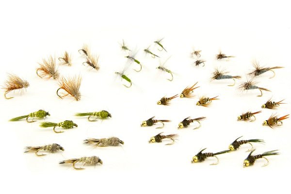 Best Selling Trout Flies - 36 Flies 5 - Hazy Fly Fishing
