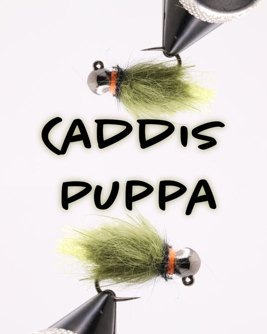 BH Caddis Pupa Olive - Hazy Fly Fishing