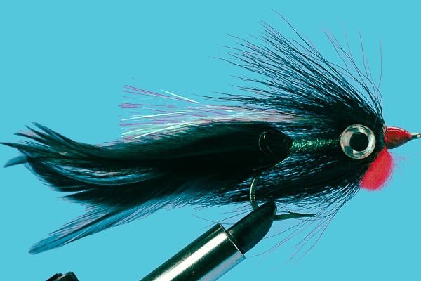 Big Eye Deceiver - Hazy Fly Fishing