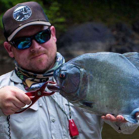 Big Nippa - Hazy Fly Fishing