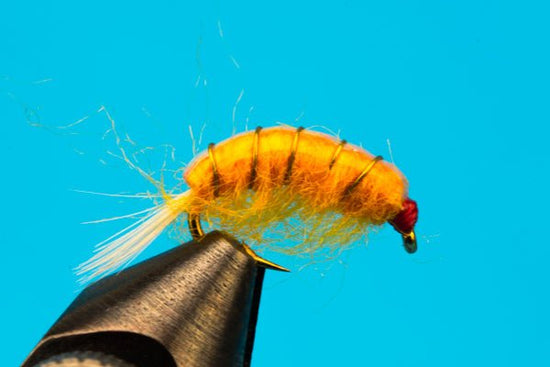 Bighorn Scud - Hazy Fly Fishing