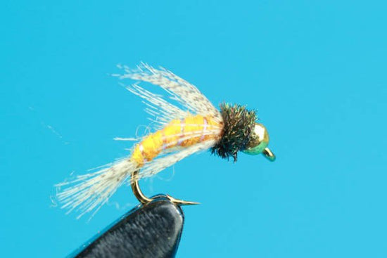 Bird Of Prey - Beadhead - Hazy Fly Fishing