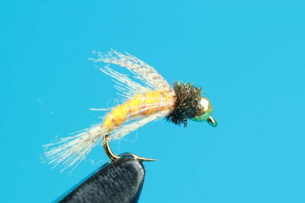 Bird Of Prey - Beadhead - Hazy Fly Fishing