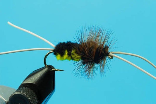 Bitch Creek - Hazy Fly Fishing