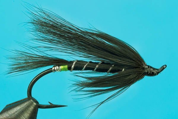 Black Bear - Hazy Fly Fishing